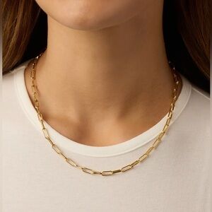 Gorjana Parker Paperclip Chain Gold Necklace 💖